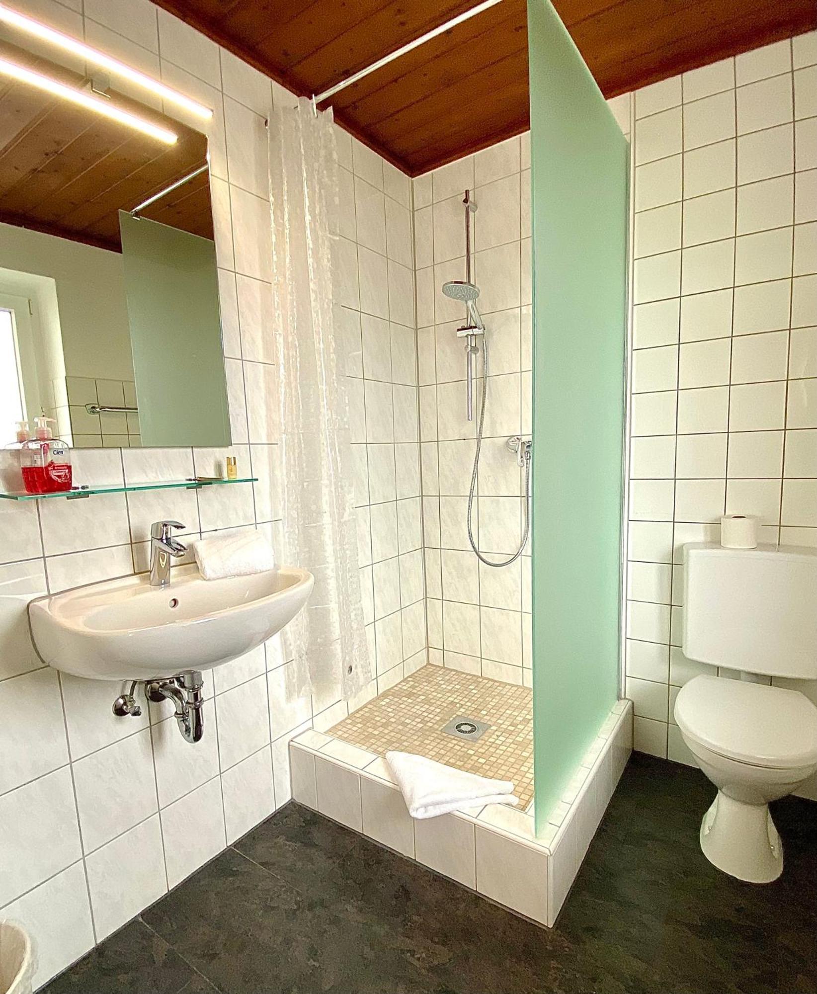 Hotel Gasthof Rose 金茨堡 外观 照片