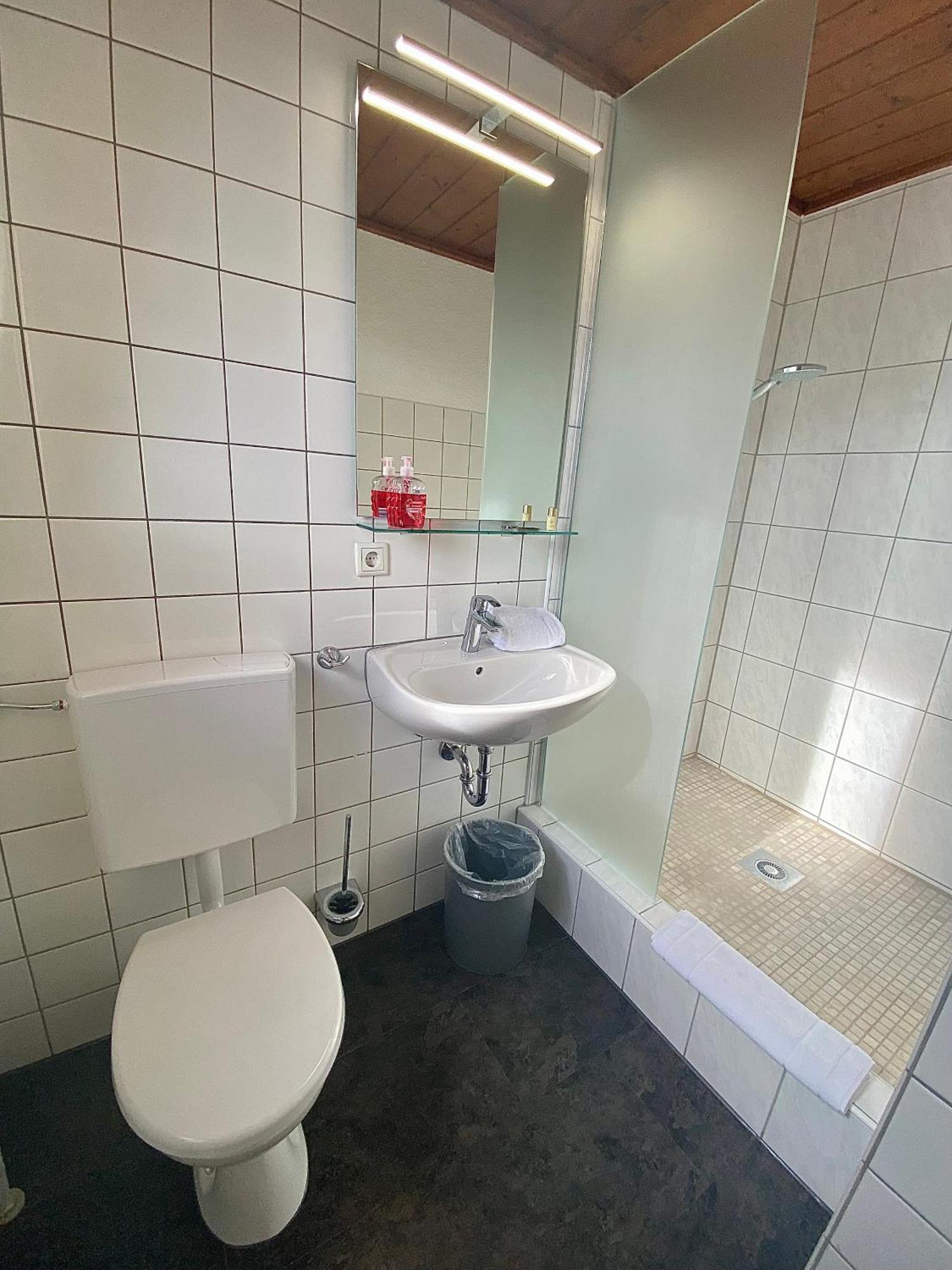 Hotel Gasthof Rose 金茨堡 外观 照片